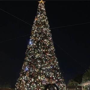 Meet your Posher, Rach